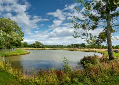 Caravan park with fishing lake. Lake photograph